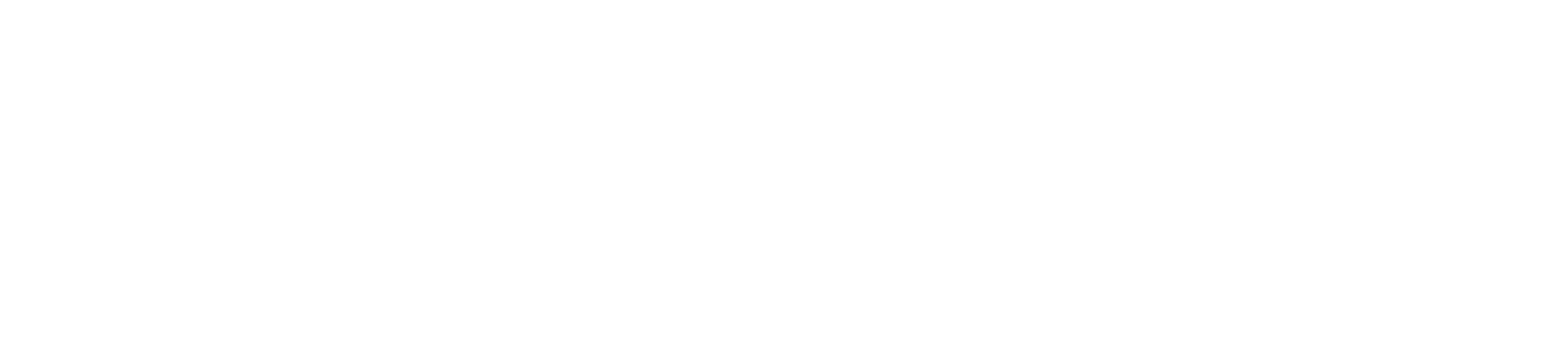 Carsonix Inc.